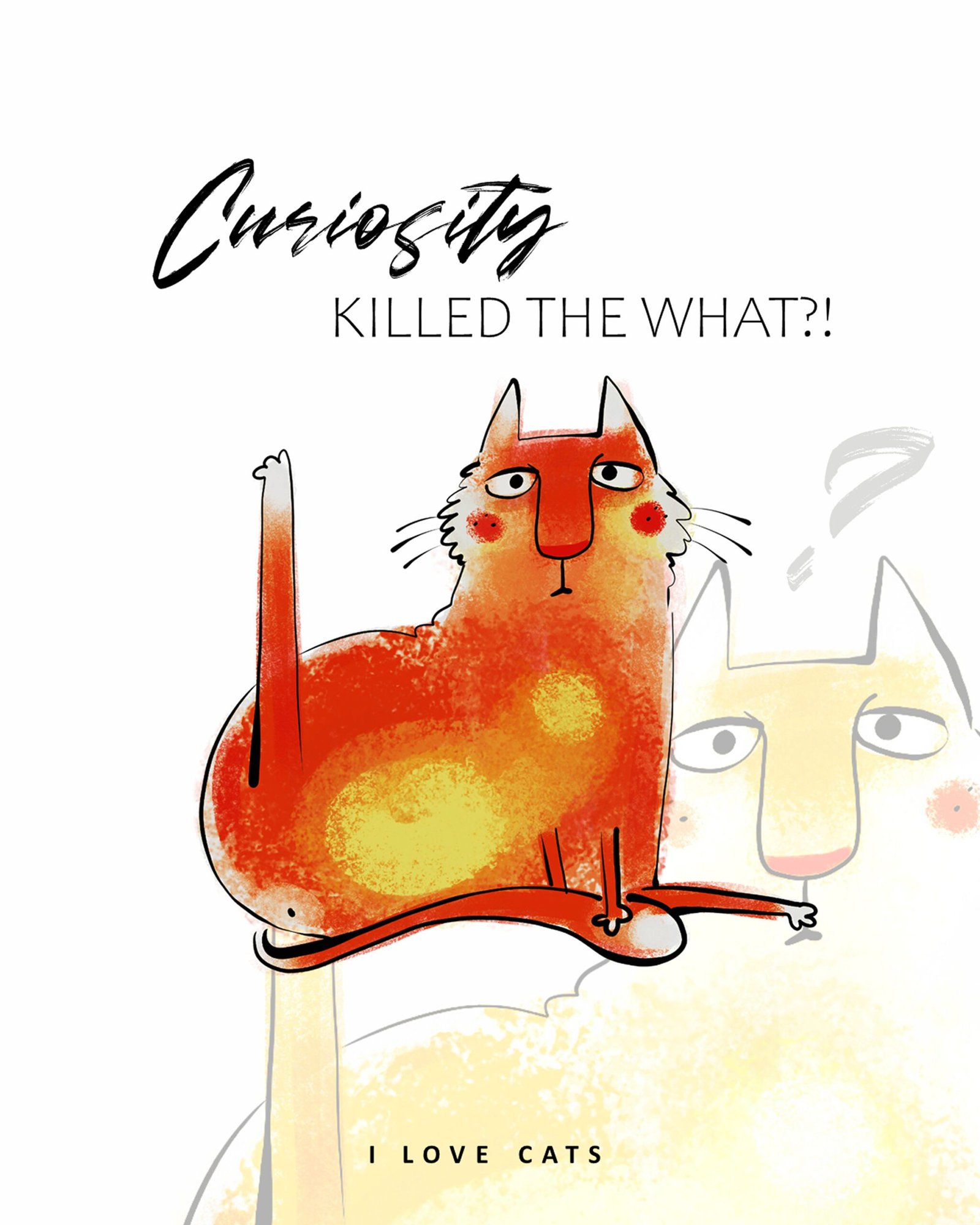 curiosity-killed-the-what