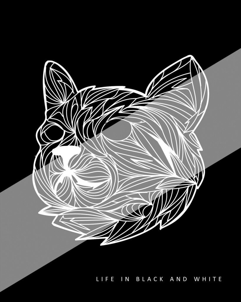 libnw-cat2