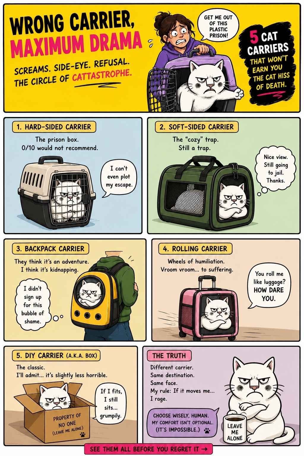 Your Cat Carrier is an Embarrassment