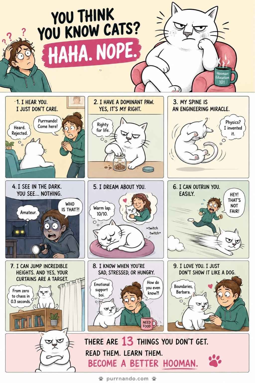 13 things your cats wish you already knew