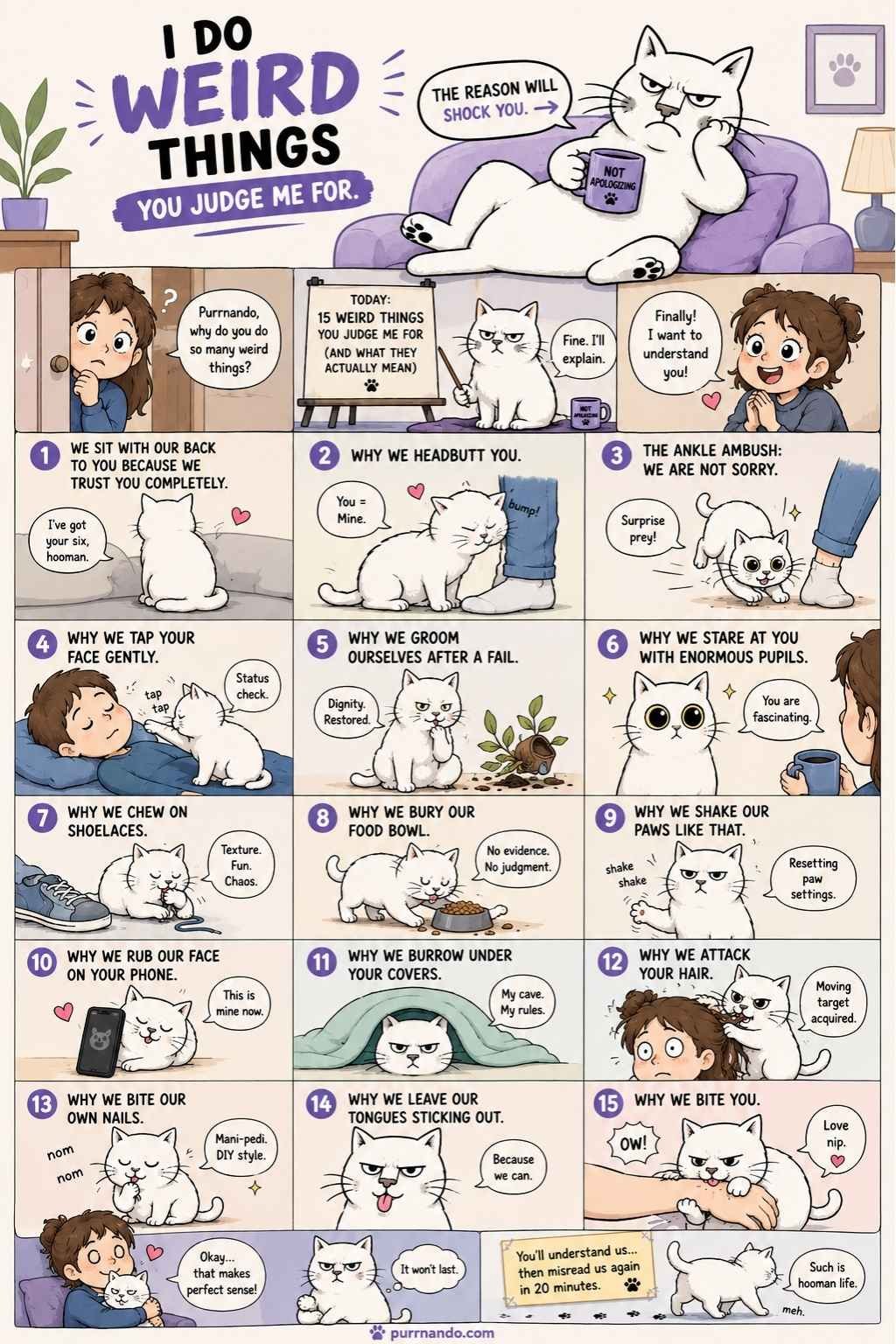 Weird Things Your Cat Does