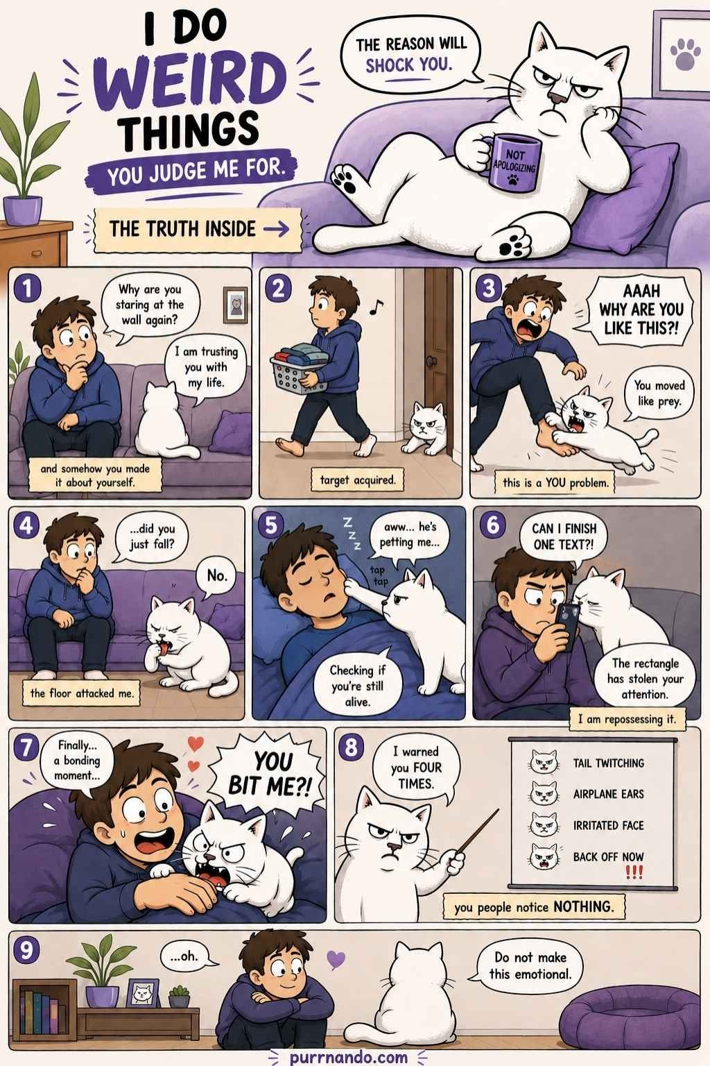 Weird Things Your Cat Does