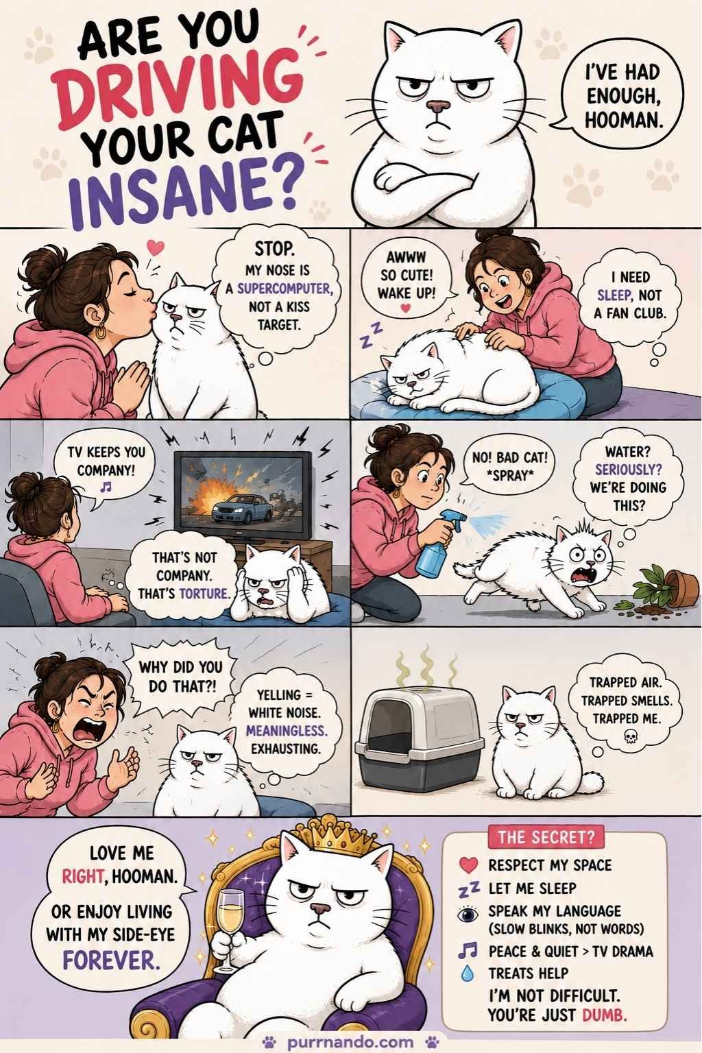 Things You Need to Stop Doing to Your Cat Immediately