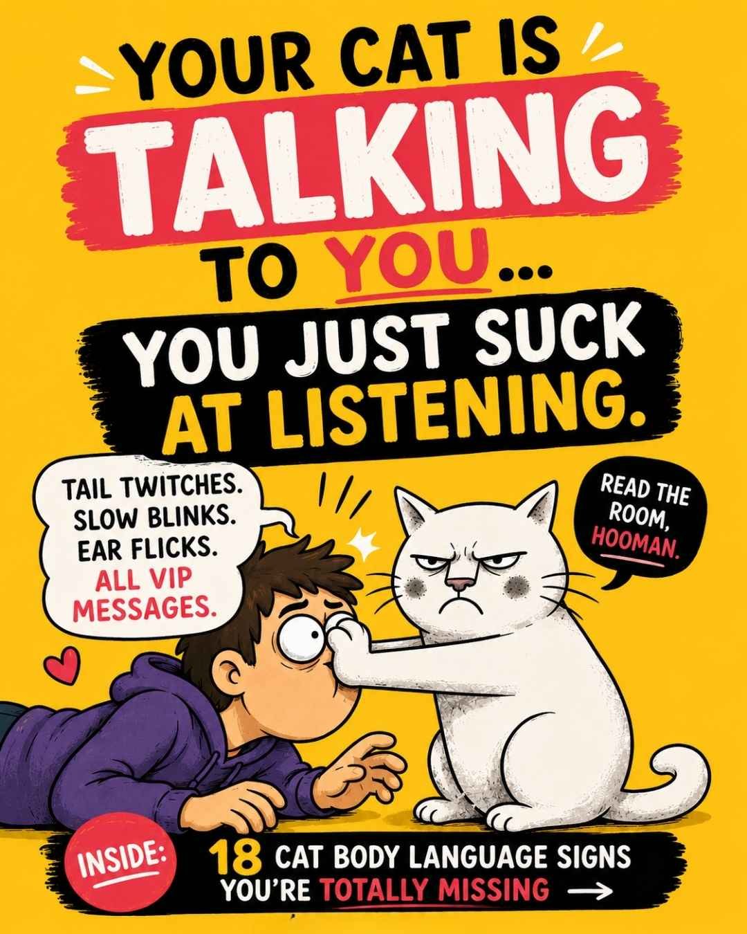 Things Your Cat Does and What They Actually Mean
