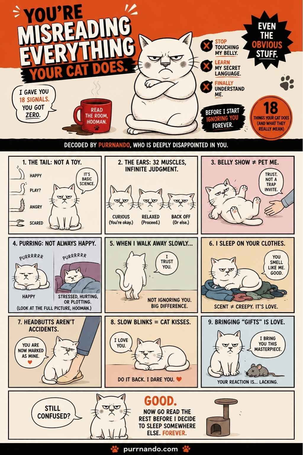 things your cat does and what do they mean