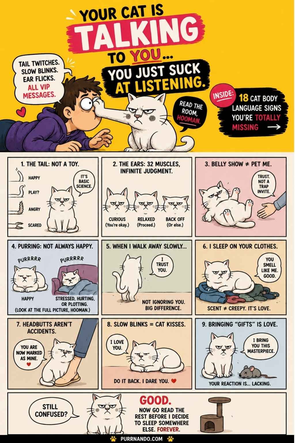 18 Things Your Cat Does and What They Actually Mean 