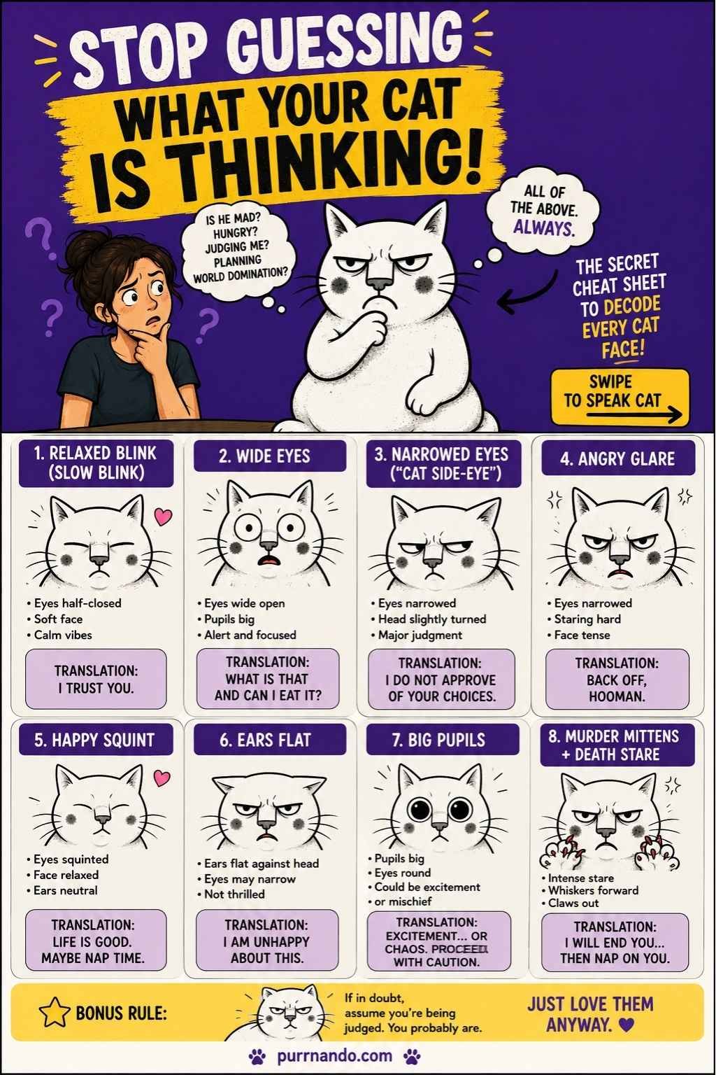 What cat expressions mean