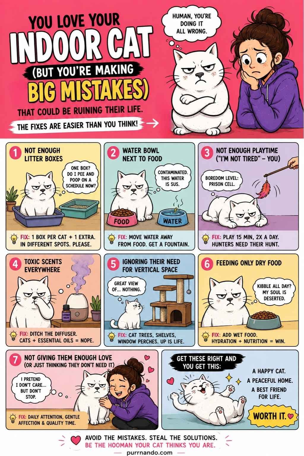 indoor cat mistakes