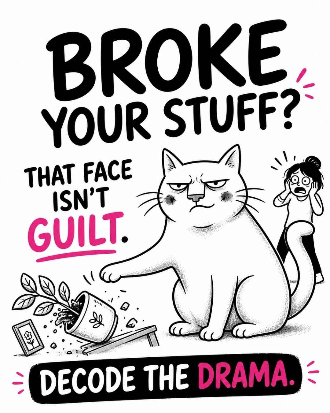 do-Cats-Feel-Guilt