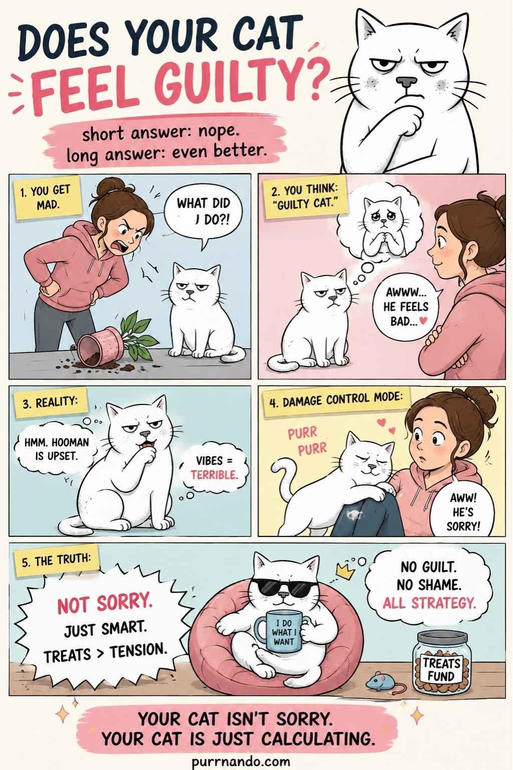 Do Cats Feel Guilt
