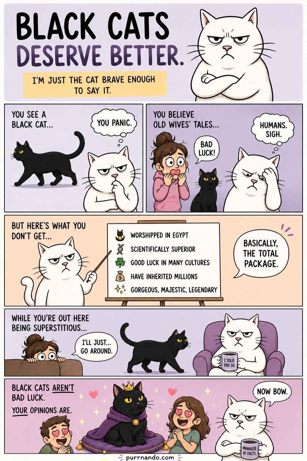 Facts About Black Cats
