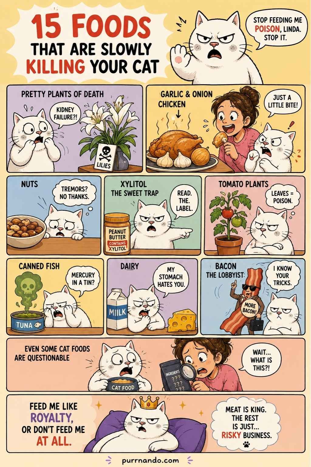 Foods That Are Slowly Killing Your Cat 