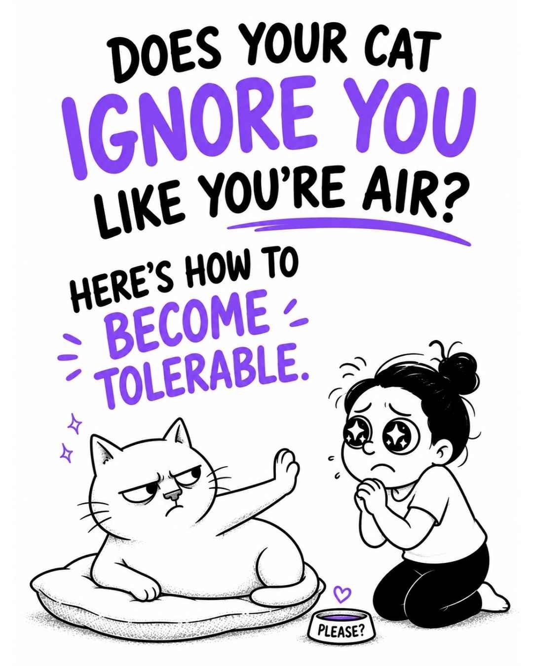 Get-a-Cat-to-Like-You
