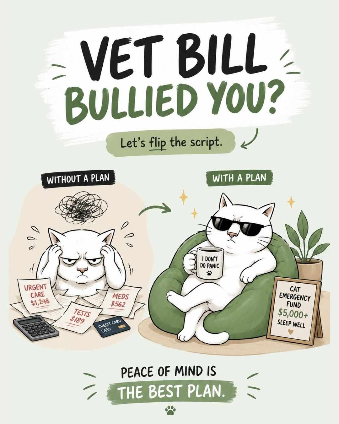 How to Afford Unexpected Vet Bills Without Going Into Debt
