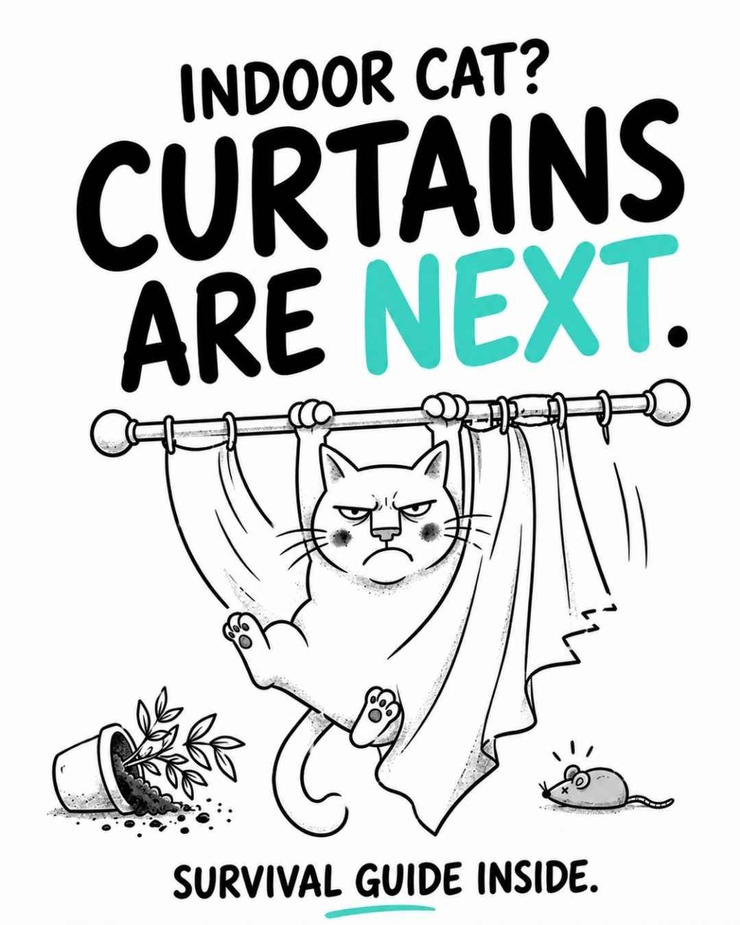 Indoor-Cat-Survival-Guide