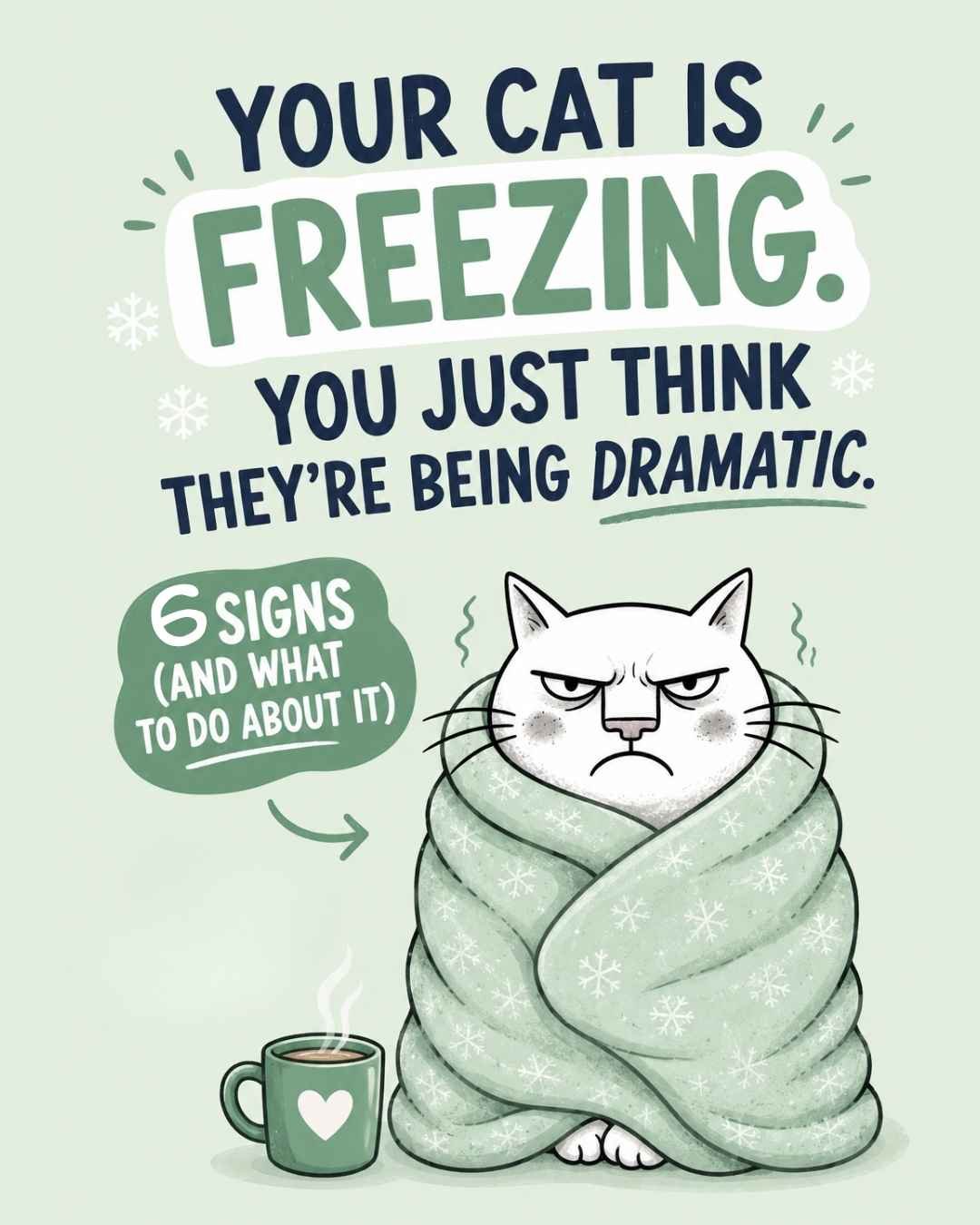 Is your cat cold