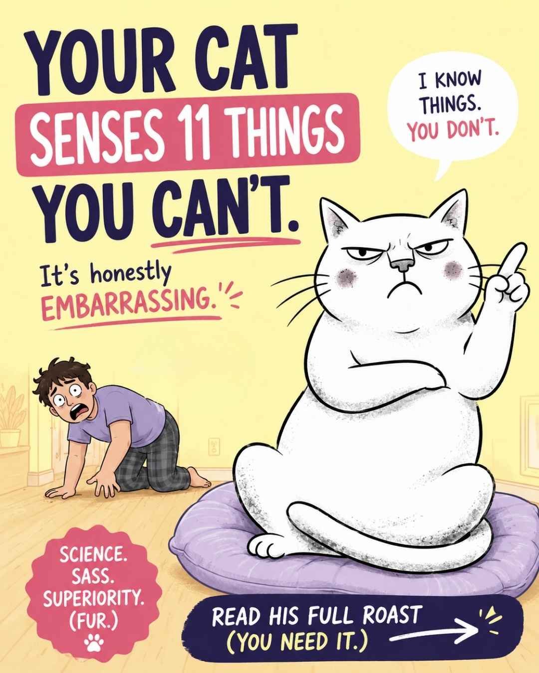 Things Your Cat Can Sense