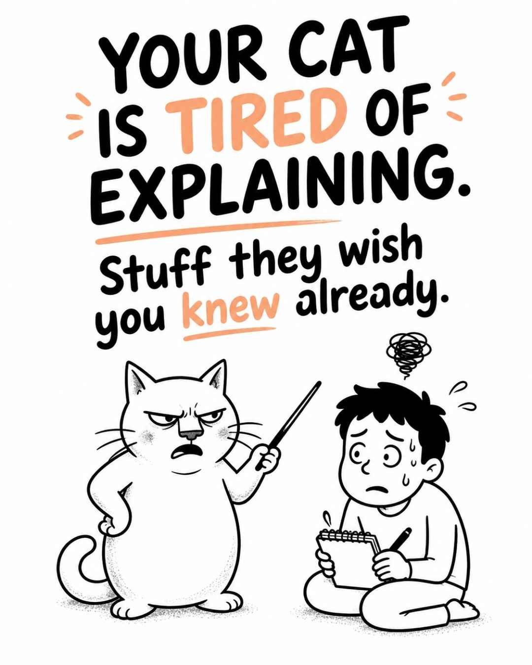 Things-Your-Cat-Wishes-You-Already-Knew