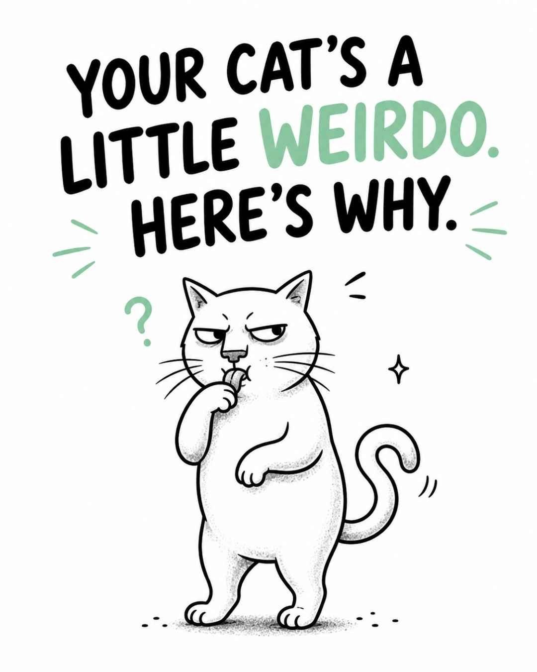 Weird-Things-Your-Cat-Does