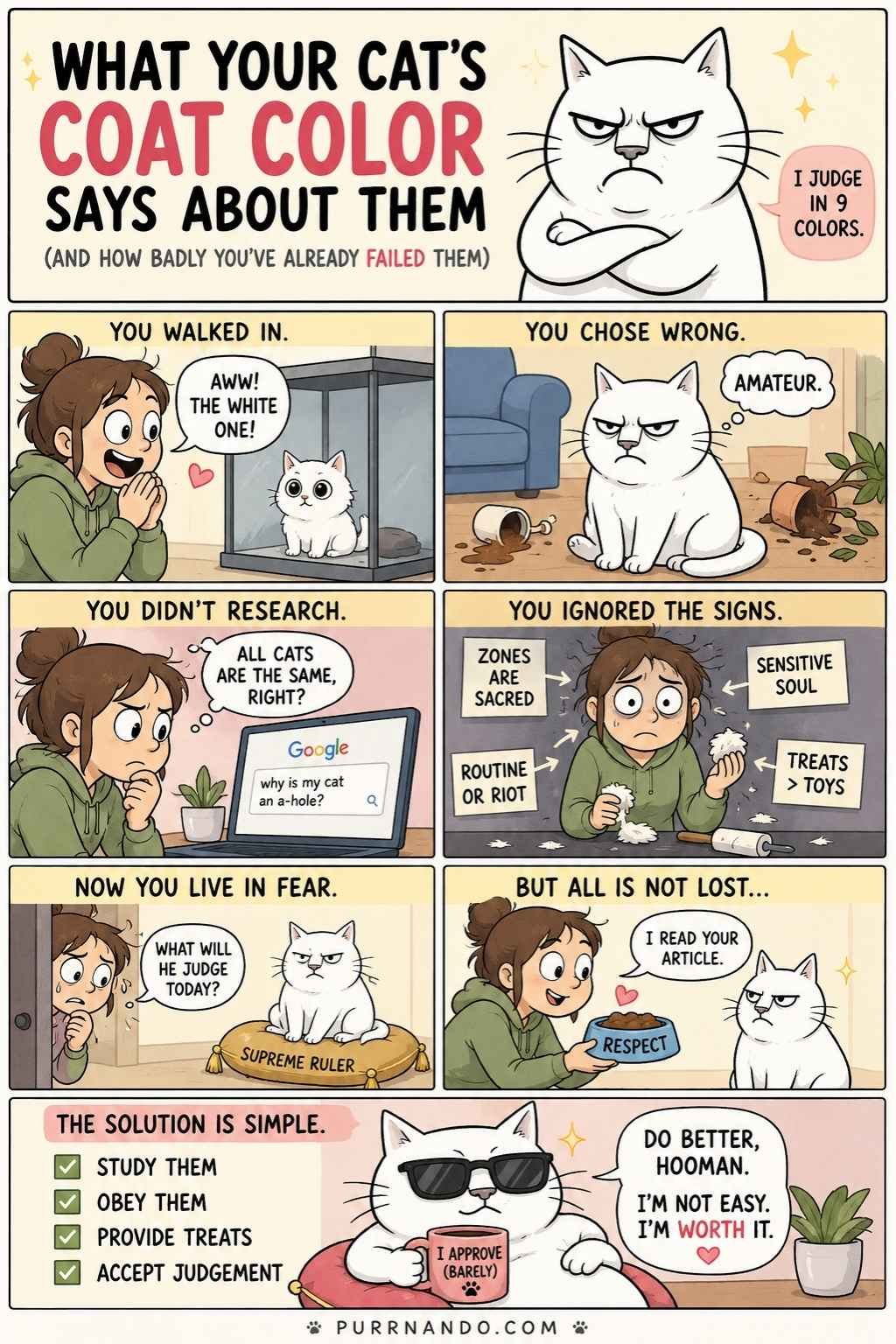 What Your Cat’s Coat Color Says About Them