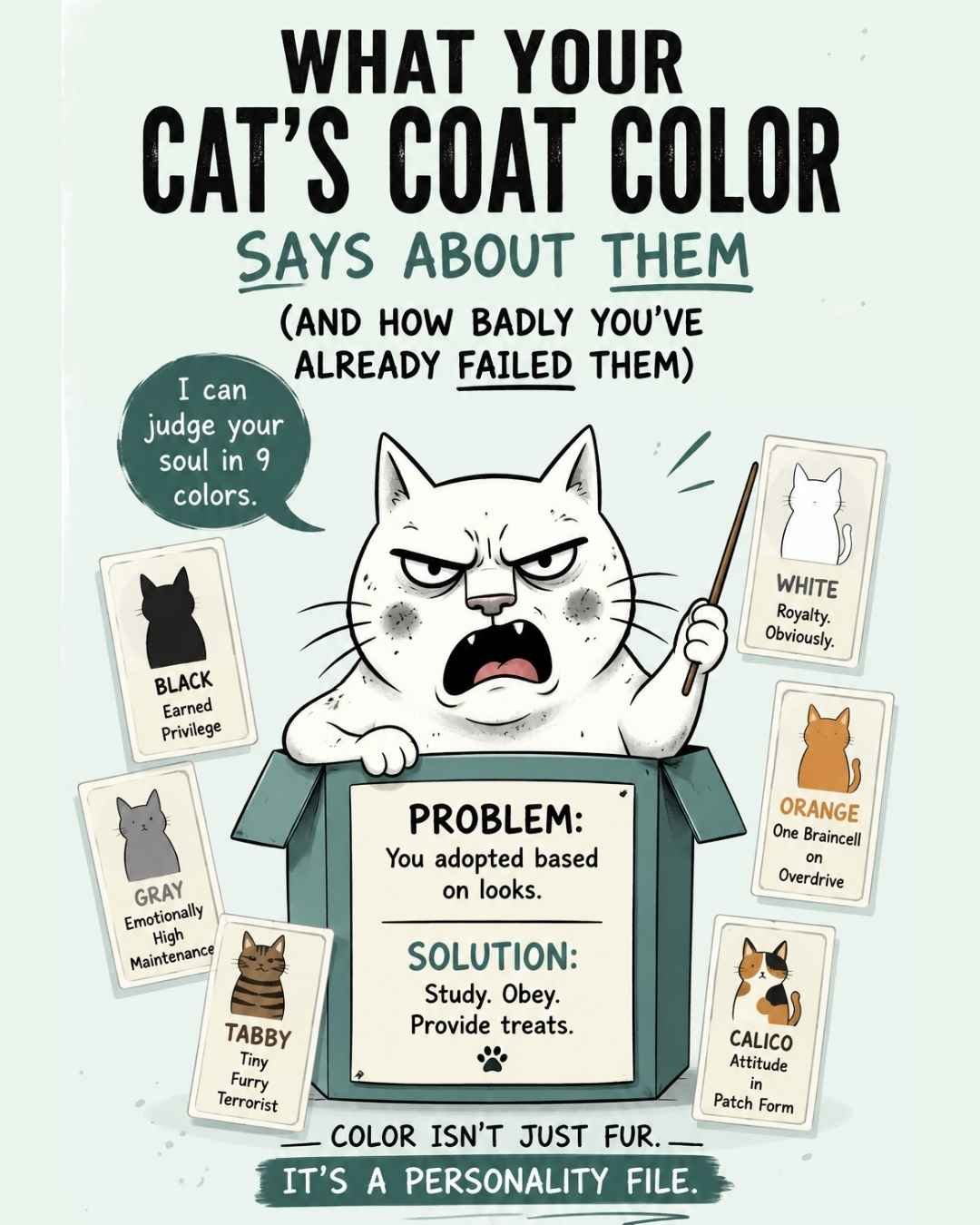 What Your Cat’s Coat Color Says About Them