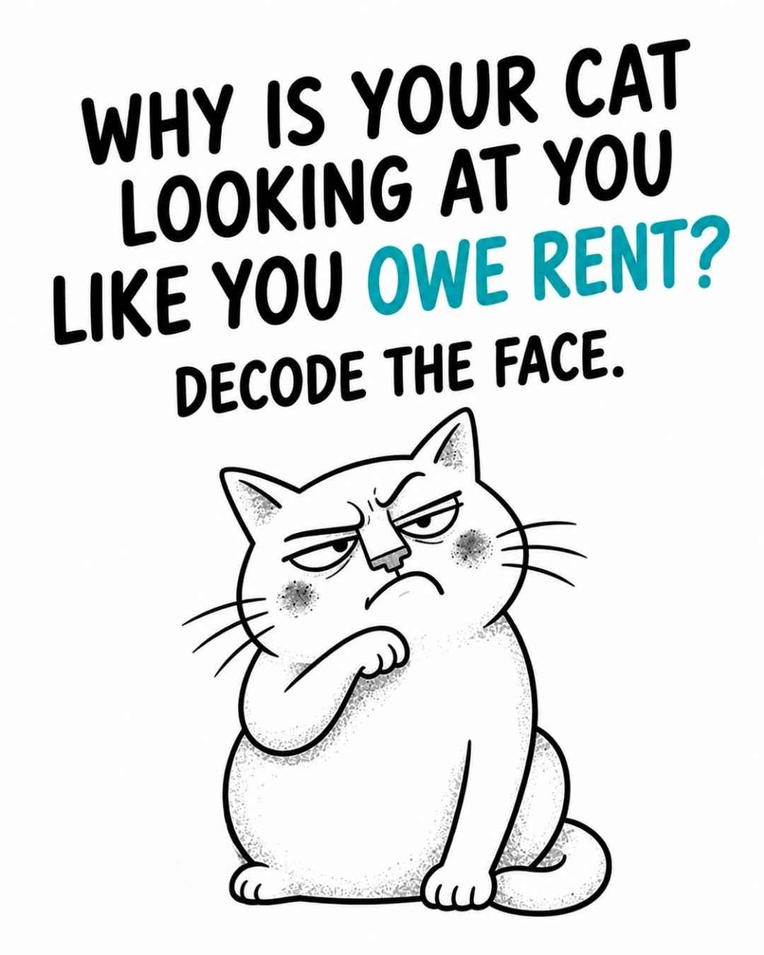 What-Your-Cats-Expressions-Really-Mean