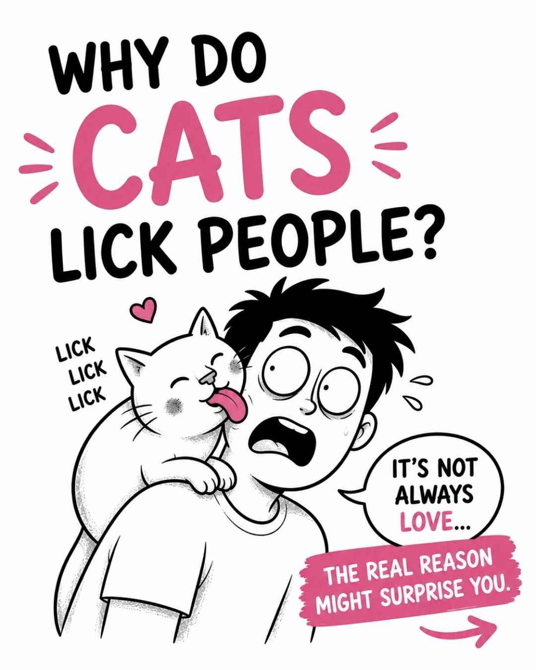 Why-Do-Cats-Lick-People