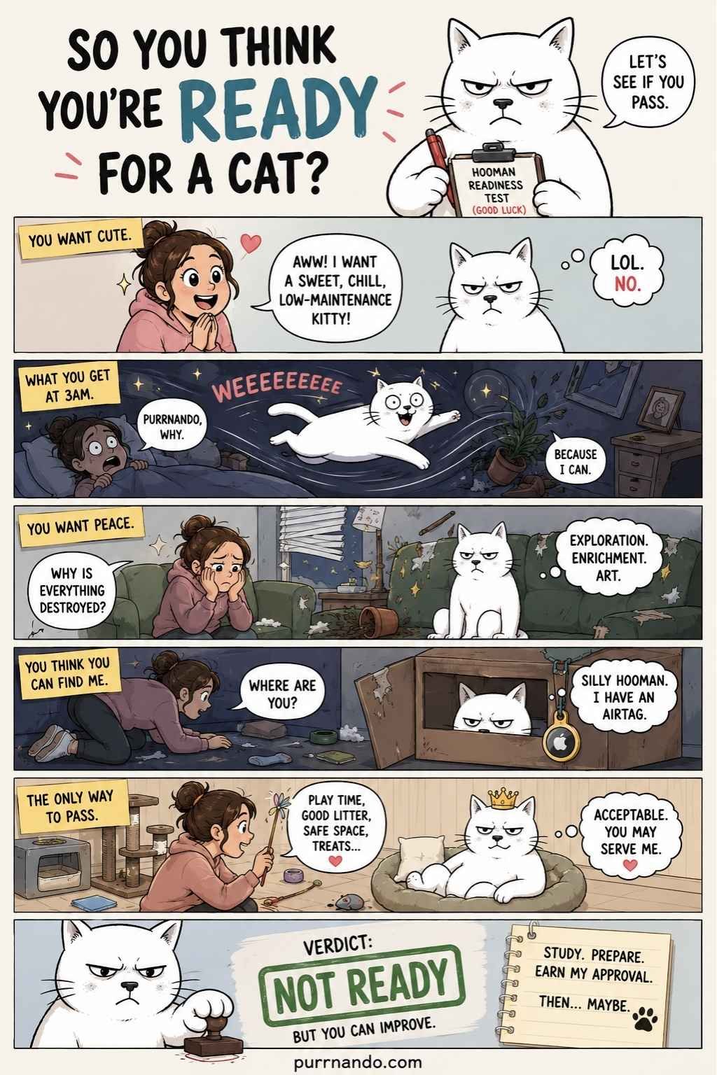 Getting a cat