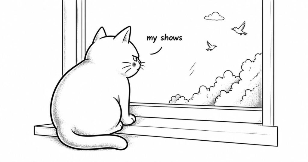 cat by the window