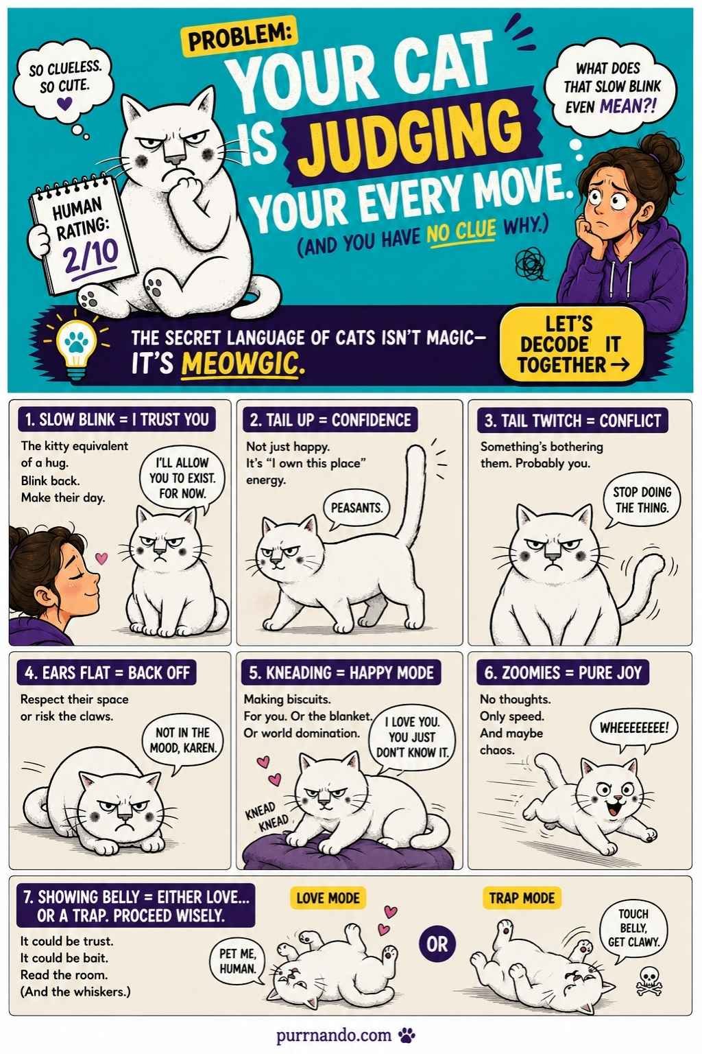 decoding cat language 