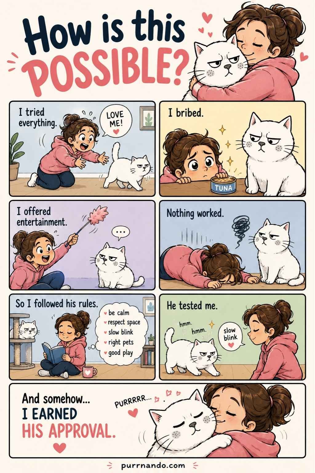 how to get a cat to like you