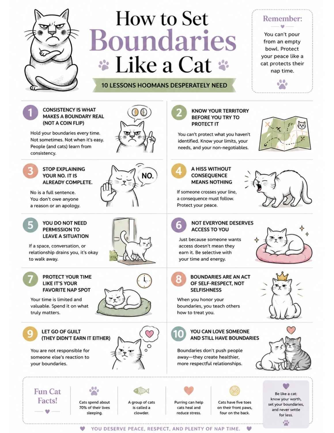 Set Boundaries Like a Cat