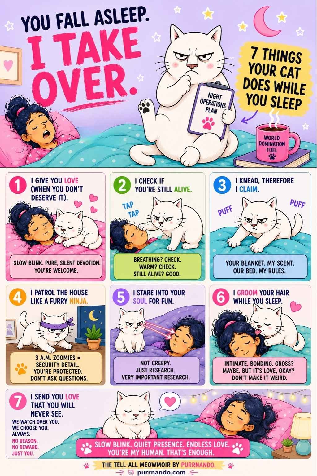things your cat does while you sleep