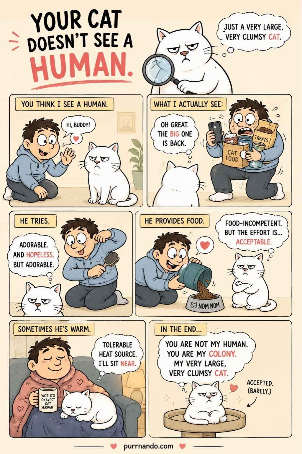 what your cat thinks of you