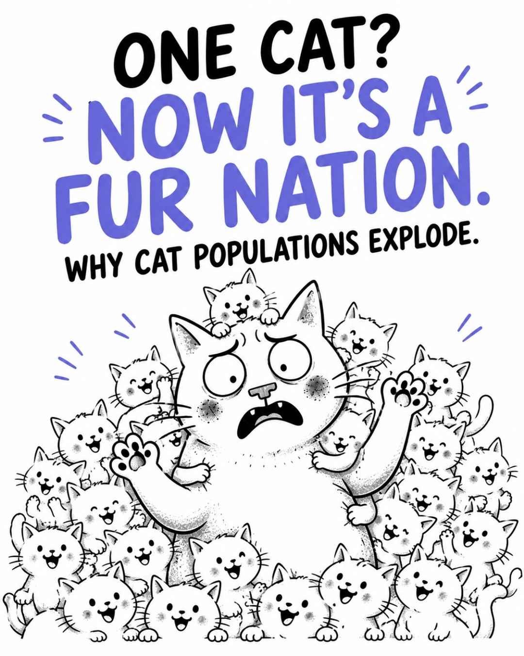cat-population-explosion