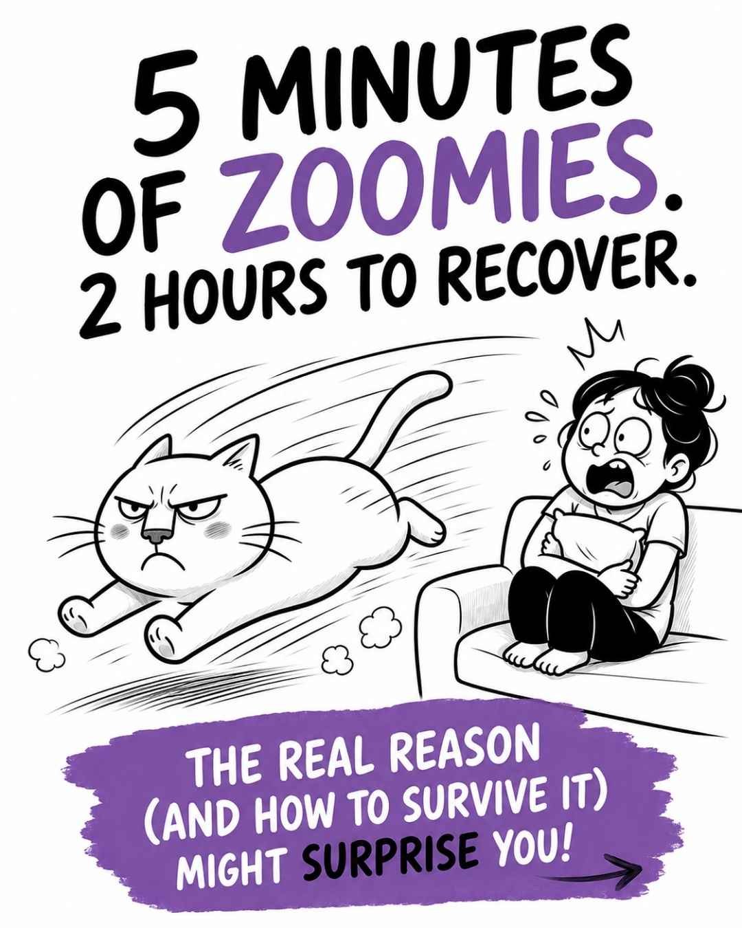 Cat Zoomies Explained