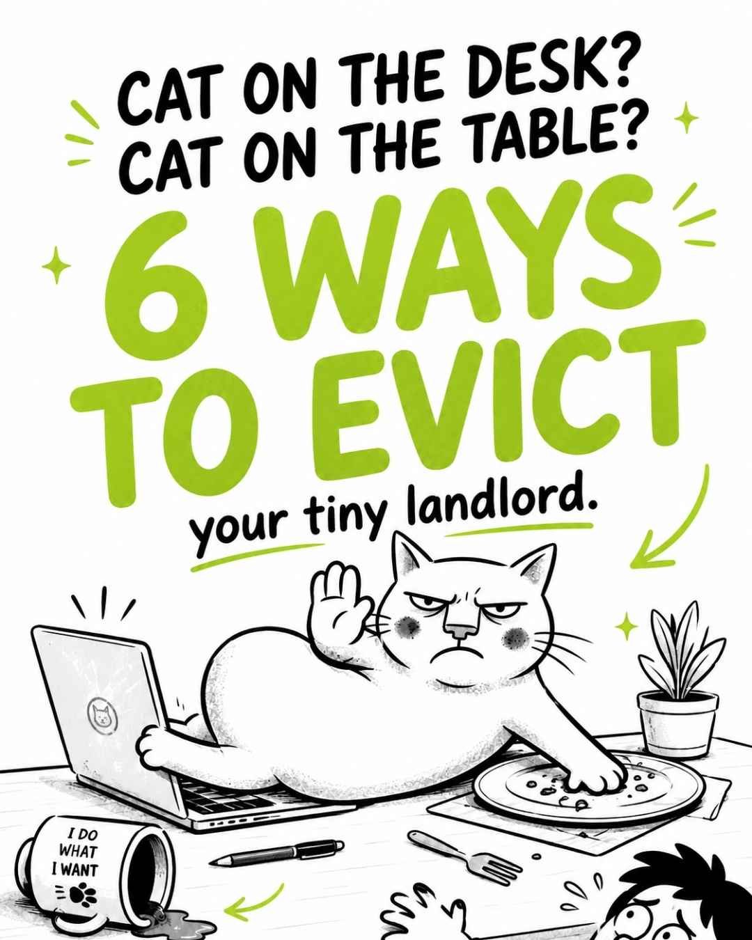 How-to-Keep-Your-Cat-Off-the-Desk