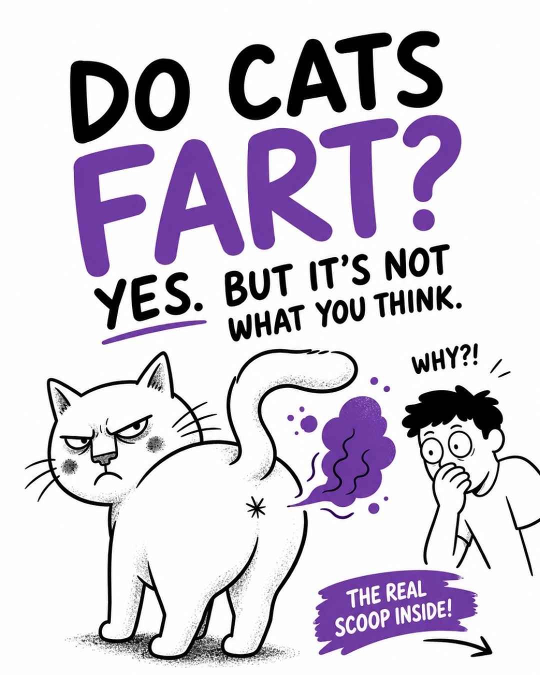 cats-fart