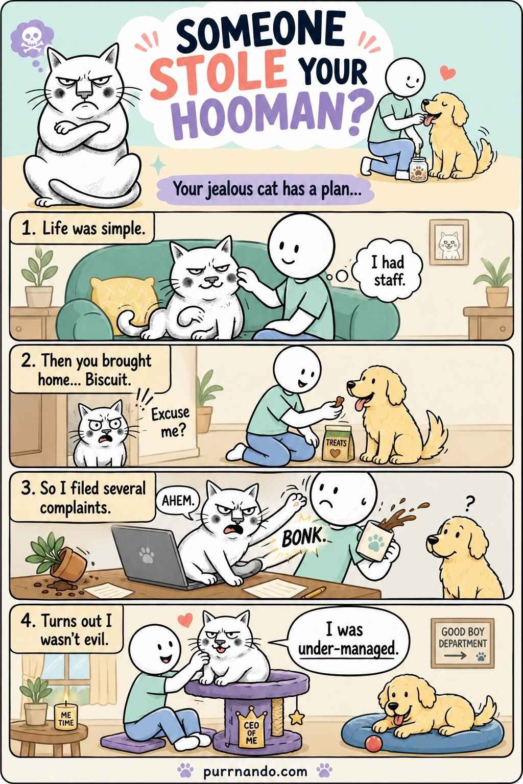 do-cats-get-jealous
