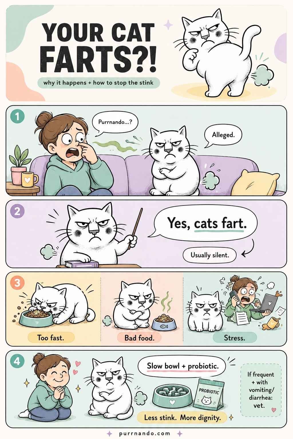your-cats-fart