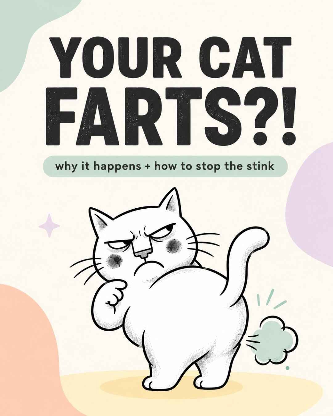 your-cat-farts
