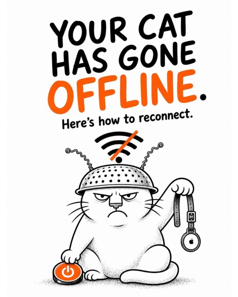Using-Technology-to-Keep-Track-of-Your-Cat